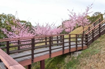 三好公園