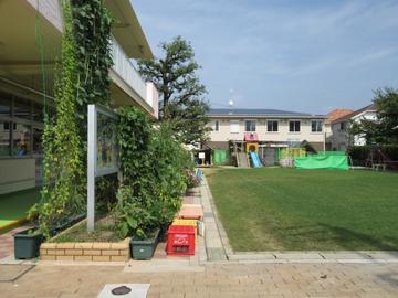 その他:梅森坂幼稚園
一週間に2回程度、先生や学級のみんなで同じものを食べる、幼稚園ランチを開催しています。