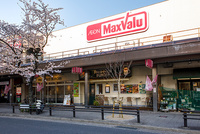 :「マックスバリュ藤が丘店」徒歩約8分/営業時間7：00～24：00　品揃えが豊富・総菜や弁当が充実！野菜や果物が安いと評判です！